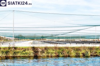 Siatki Czerwionka-Leszczyny - Siatka ochronna na zbiornik z rybami, efektywne zabezpieczenie przed ptakami dla terenów Czerwionka-Leszczyny