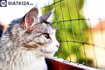Siatki Czerwionka-Leszczyny - Siatka na balkony dla kota i zabezpieczenie dzieci dla terenów Czerwionka-Leszczyny